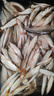 浮煙山魚(yú)竿火羽飛天輕量大物竿巨物竿超輕超硬高碳鰱鳙竿青魚(yú)鯉魚(yú)臺釣竿 7.2m (5H19調輕量大物竿) 曬單實(shí)拍圖