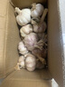 康田匯陜西2025干新鮮感大蒜現挖新蒜紫皮大蒜批發(fā)鮮蒜紅皮蒜干蒜 2-2.5斤單果4CMM-5CMM凈1.6斤 曬單實(shí)拍圖
