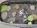 新中式庭院花盆古法魚(yú)缸古法養魚(yú)缸生態(tài)造景碗蓮陶瓷盆家用陽(yáng)臺水 陶瓷盆釉土黃+青龍石頭1顆 曬單實(shí)拍圖