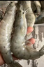 百鮮洽超大蝦新鮮大蝦冷凍鮮活青島大蝦批發(fā)整箱基圍蝦青蝦 【特大蝦王17-21cm】 3斤(凈重) 曬單實(shí)拍圖