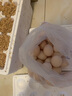 土雞蛋40g正負5g 正宗新鮮雞蛋農(nóng)家散養(yǎng)溏心蛋生鮮超市早餐必備 30枚 曬單實拍圖