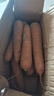京喜加新鮮現(xiàn)挖現(xiàn)發(fā)胡蘿卜農家自種蔬菜水果沙地紅蘿卜 帶泥胡蘿卜2斤 含箱 曬單實拍圖