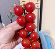 京鮮生 串收櫻桃番茄散串禮盒1.5kg現(xiàn)摘現(xiàn)發(fā)西紅柿源頭直發(fā)包郵 曬單實(shí)拍圖