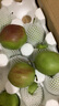 源自新疆紅香酥梨新鮮梨子3/5/10斤脆甜皮薄梨子應(yīng)季水果整箱批發(fā) 凈重5斤精選大果 曬單實拍圖