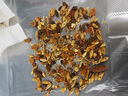 同仁堂（TRT）胖大海羅漢果金銀花茶盒裝花草養生茶150g（5克*30包）/盒  曬單實(shí)拍圖