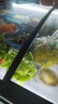 冰諾璽商用展示柜保鮮島柜海鮮展示柜大容量冷柜雪糕飲料點(diǎn)菜柜市玻璃保鮮臥式冰柜商用冷柜大容量冰柜 1.4米升級智控【帶籃框】 曬單實(shí)拍圖