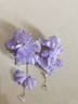 逐青夏日紫色花朵流蘇耳釘女2025新款海邊度假風(fēng)耳環(huán)女無(wú)耳洞耳夾耳飾 紫色花朵流蘇耳夾 曬單實(shí)拍圖