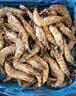 Member's Mark 泰國進(jìn)口 生冷凍黑虎蝦 2kg (約31-40只/每千克) 2kg(凈重) 曬單實(shí)拍圖