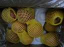佳農 煙臺紅富士蘋(píng)果 9-12粒裝 單果200g以上 中秋水果禮盒 曬單實(shí)拍圖