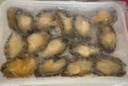 金唐鮮凍大鮑魚凈重500g/ 10頭鮑 帶殼鮑魚肉 貝類海鮮生鮮火鍋燒食材 曬單實拍圖