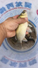 龍王恨魚餌藍(lán)鯽青春版腥香餌料江河湖庫野釣鯽魚鯉魚草魚鳊魚餌料魚食 藍(lán)鯽·青春版-腥香(300g/包)*5 曬單實拍圖