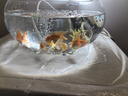 臻的養魚(yú)氧氣泵增氧泵家用增氧機氣泵中小型魚(yú)缸充氧泵水族箱加氧泵 1.8W單孔+2.8cm氣石配套（適50cm小缸） 曬單實(shí)拍圖