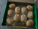 佳沛（zespri）新西蘭  陽光金奇異果10粒禮盒巨大果單果約144-175g 水果 獼猴桃 曬單實拍圖
