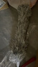 畢亞茲除塵撣可伸縮雞毛撣子靜電掃天花板屋頂灰塵蜘蛛網(wǎng)神器2.8米 曬單實(shí)拍圖