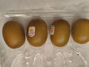 佳沛（zespri）新西蘭  陽(yáng)光金奇異果16粒禮盒經(jīng)典果單果約 77-103g 水果 獼猴桃 曬單實(shí)拍圖