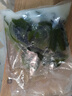 大連 鮮海帶 鹽漬裙帶菜梗  鹽漬海白菜裙帶菜蝦皮湯火鍋食材 鹽漬裙帶菜梗500g 曬單實(shí)拍圖
