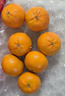 京鮮生 南非進(jìn)口小蜜橘/蜜桔3斤裝 單果40g起 柑橘桔子 新鮮水果 曬單實(shí)拍圖