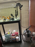 森森（SUNSUN）新款魚缸外置過(guò)濾桶水簇箱過(guò)濾器外置省電過(guò)濾器殺菌除藻凈水 無(wú)紫外燈（≤90cm 水渾但不發(fā)綠魚缸） 曬單實(shí)拍圖