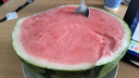 【產(chǎn)地直采】麒麟奶油西瓜 約5.5kg 曬單實(shí)拍圖