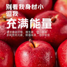 樂淇（ROCKIT）進(jìn)口火箭筒蘋果5粒中筒裝單筒245g起生鮮 新鮮水果 曬單實(shí)拍圖