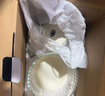 大宇（DAEWOO）絞肉機家用輔食機嬰兒三杯多功能電動攪拌機肉菜雙絞小型2024新款寶寶輔食料理機 標準款-【玻璃碗】 2L 曬單實拍圖
