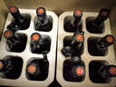 黑貍精釀啤酒全家福組合 高濃度原漿啤酒整箱 白啤酒 世濤黑啤酒 IPA 全家福組合【至尊1號(hào)】330ml*12 曬單實(shí)拍圖