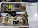 闊庭（KUOTING）魚缸懶人魚缸家用客廳辦公室金魚缸過濾魚缸白色款 曬單實拍圖