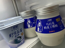 蘭格格  草原酸奶 烏日莫奶皮子酸奶560g*1桶 生鮮低溫酸牛奶 酸奶大桶 曬單實(shí)拍圖