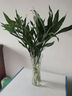 特大號玻璃花瓶透明水養富貴竹客廳家用插干花瓶裝飾擺件 【加大加厚】特大號水晶玻璃花瓶 曬單實(shí)拍圖