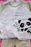 迪迪熊日記（DIDIXIONGRIJI）2件裝兒童套裝春秋季純棉一歲小孩衣服長(cháng)袖長(cháng)褲嬰兒秋裝寶寶分體 長(cháng)袖套裝(小熊貓+條紋小熊) 90 cm(24M) 曬單實(shí)拍圖