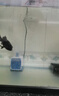 森森（SUNSUN）耀藍魚缸水泵小型潛水泵過濾泵抽水泵YQP-1000 15W 曬單實拍圖