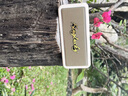 瑞德羅曼德國藍牙音箱小型復古重低音炮戶(hù)外家用HIFI發(fā)燒級桌面無(wú)線(xiàn)低音炮音響高音質(zhì)支持TF卡U盤(pán) 珍珠白【120W可插TF卡U盤(pán)】 曬單實(shí)拍圖