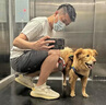 魯界椰子鞋男350正版情侶款2025夏季新款透氣耐磨休閑椰子運(yùn)動(dòng)鞋男鞋 350白黃色（軟底真爆6.0） 42 曬單實(shí)拍圖