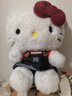 名創(chuàng)優(yōu)品（MINISO）Hello Kitty凱蒂貓經(jīng)典毛絨公仔玩偶玩具抱枕娃娃送女友生日禮物 曬單實拍圖