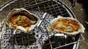 百鮮洽乳山生蠔鮮活特大牡蠣?zhēng)ど院Ｏ犠有迈r海鮮水產(chǎn)貝類聚會(huì)燒烤 超大號(hào)5XL 凈重9斤（15-20只） 曬單實(shí)拍圖