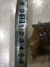 大連有機(jī)深海地帶野生開(kāi)袋 即食海參生鮮干貨過(guò)節(jié)送禮送長(zhǎng)輩 【9A級(jí)高刺遼參】1斤裝 曬單實(shí)拍圖