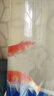 森森（SUNSUN）錦鯉魚飼料觀賞魚金魚飼料專用魚糧增色不渾水魚食錦鯉專用 綜合營養(yǎng)3mm中顆粒 5斤裝 曬單實拍圖