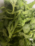 京百味【迎春而食】冰草 250g 曬單實拍圖