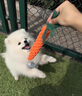 阿莫爾狗狗玩具磨牙耐咬繩結(jié)金毛小中大型犬泰迪幼犬狗解悶玩具寵物用品 熱門三件套 曬單實拍圖