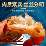 海仙津九節蝦干即食大蝦干烤蝦干對蝦干特大斑節蝦干大烤蝦福建干貨蝦 【大號款】九節蝦干250g 35-45只(凈重) 曬單實(shí)拍圖