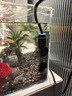 創(chuàng)寧魚缸石英變頻加熱棒 CN-605-100W 低水位烏龜小型迷你自動恒溫器 曬單實拍圖