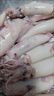 新鮮全籽籽烏海兔子東山小管滿(mǎn)籽筆管魚(yú)冷凍魷魚(yú)仔批發(fā) 小籽烏【4斤裝】 曬單實(shí)拍圖