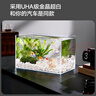 YEE超白魚(yú)缸桌面客廳生態(tài)斗金魚(yú)烏龜缸造景小型水草養魚(yú)玻璃裸缸40cm 曬單實(shí)拍圖