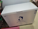 澳柯瑪（AUCMA）307升減霜冰柜家用大容量冷藏柜冷凍柜 臥式冷柜冰箱雪糕柜一級(jí)能效 BC/BD-307HNE 國(guó)家補(bǔ)貼20% 曬單實(shí)拍圖