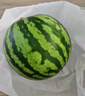 藤上熟玉菇蜜瓜單粒1.2kg 曬單實拍圖