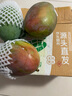 京覓四川凱特芒果新鮮水果凈重4.5斤單果400g+源頭直發(fā)包郵 曬單實拍圖