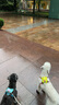 拉夫威爾ruffwear嗨輕狗狗胸背帶狗背帶中小型犬雪納瑞背帶式狗狗牽引繩 苔蘚綠 XS 曬單實(shí)拍圖