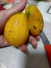 海南小臺(tái)農(nóng)芒果9斤小臺(tái)芒當(dāng)季熱帶新鮮水果現(xiàn)摘甜心小芒果整箱 9斤 【小果】試吃嘗鮮 曬單實(shí)拍圖
