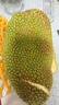 譯優(yōu)農(nóng) 海南榴蓮蜜三亞特產(chǎn)新鮮熱帶水果軟糯香甜濕苞巴掌榴蓮菠蘿蜜 凈重4-5斤【1-2顆果】品質(zhì)裝 曬單實拍圖