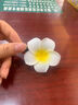 璇洛臻品 雞蛋花發(fā)夾耳邊發(fā)夾夏日頭花夾裝飾夾發(fā)飾邊夾女側(cè)邊夾子頭飾 7cm2個裝+5cm2個裝 曬單實拍圖